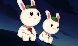 兔子爆料博主是谁啊视频,揭秘热门视频背后的神秘人物