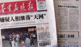 秦皇岛晚报爆料新闻最新,惊现神秘古墓，考古专家揭秘千年历史之谜